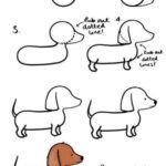 comment dessiner un chien étape par étape 4