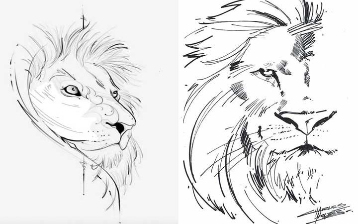 Como desenhar um leão para iniciantes no desenho.