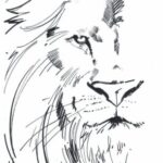 how-to-draw-a-REALISTIC-lion