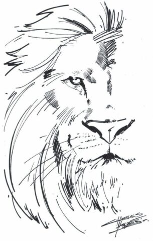 como desenhar um leão realista