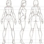 female-body-proportion