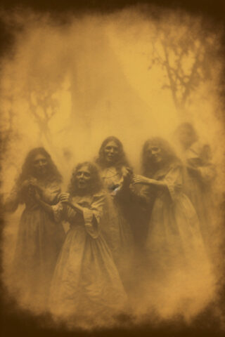 नेर्डज़िला फ़ेविकॉन