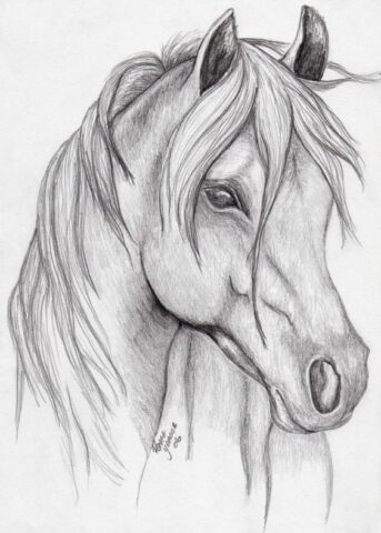 desenho artístico realista de um cavalo