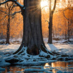 Paisagens-de-outono-arvores-e-rios-7