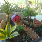 रसीले-पॉट-हाउस-13