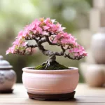 असली बोनसाई और उसकी देखभाल कैसे करें-14