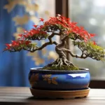 असली बोनसाई और उसकी देखभाल कैसे करें-17