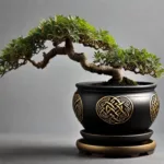 असली बोनसाई और उसकी देखभाल कैसे करें-29