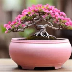 असली बोनसाई और उसकी देखभाल कैसे करें-48