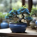 Bonsai-Verdadeiro-e-como-cuidar-5