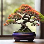 असली बोनसाई और उसकी देखभाल कैसे करें-51