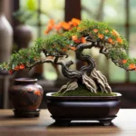 El verdadero bonsái y cómo cuidarlo 52