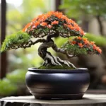 असली बोनसाई और उसकी देखभाल कैसे करें 8