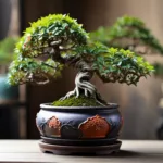 असली बोनसाई और उसकी देखभाल कैसे करें 9