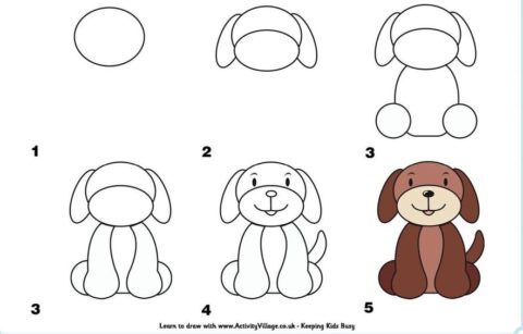 Como desenhar um cachorro passo a passo - cachorro marrom