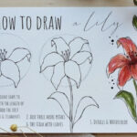 Como-desenhar-uma-flor-10