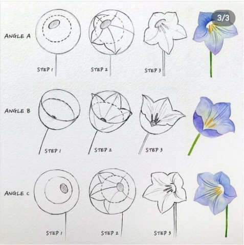desenho de flor
