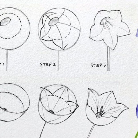 desenho de flor em 5 passos