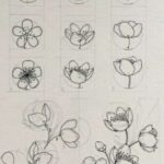 Como-desenhar-uma-flor-4