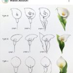 Como-desenhar-uma-flor-7