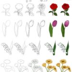 Como-desenhar-uma-flor-8