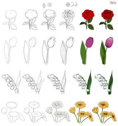 desenho de flores