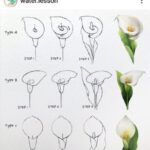 Como-desenhar-uma-flor-9