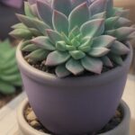 Vaso-de-Suculentas-Naturais-e-Artificiais-40