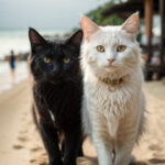 imagens-de-gatinhos-no-copyright-12