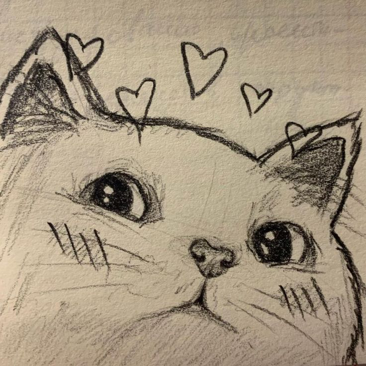 desenho de gatinhos fofos para desenhar fácil