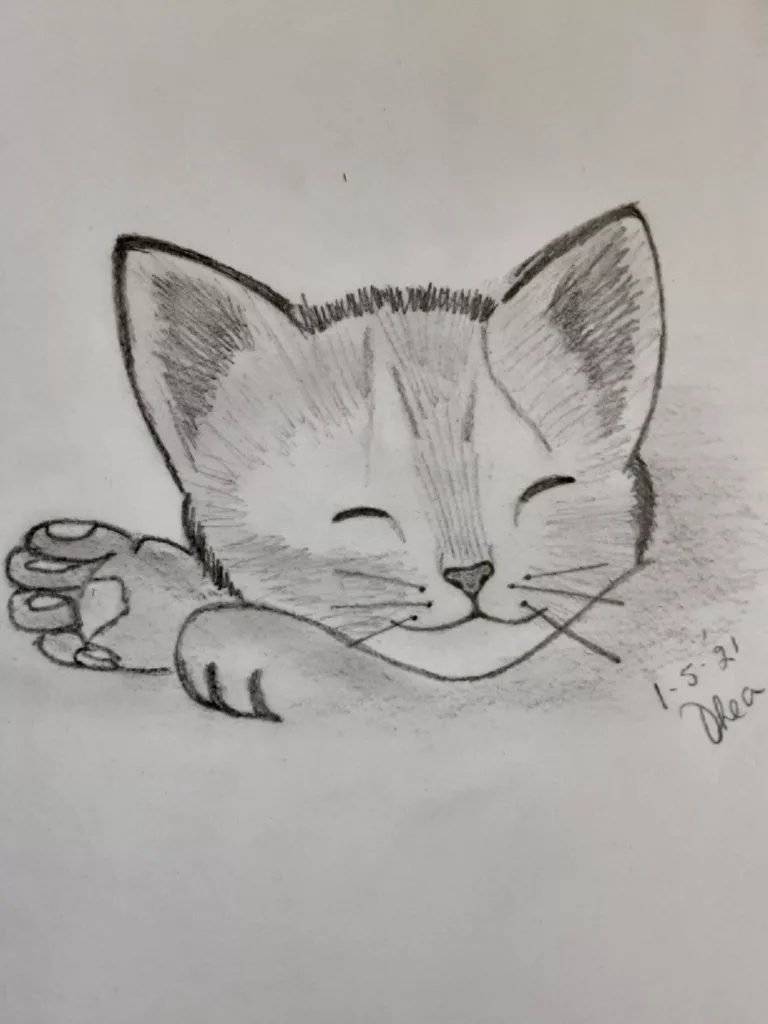 desenho de gatinhos fofos para desenhar fácil