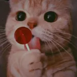 MENSAGENS-DE-AMOR-23