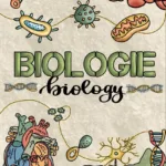 capa-de-caderno-para-materias-10