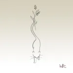 Totoo-femininas-simples-e-bonitas-10